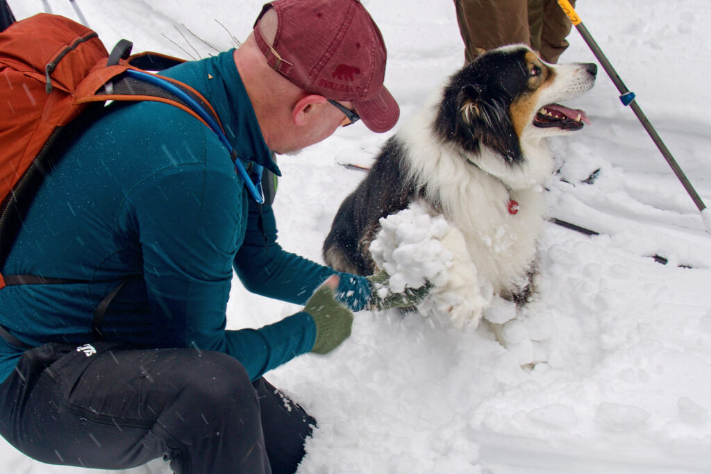 Sean helps clear snow from Oscar's legs.