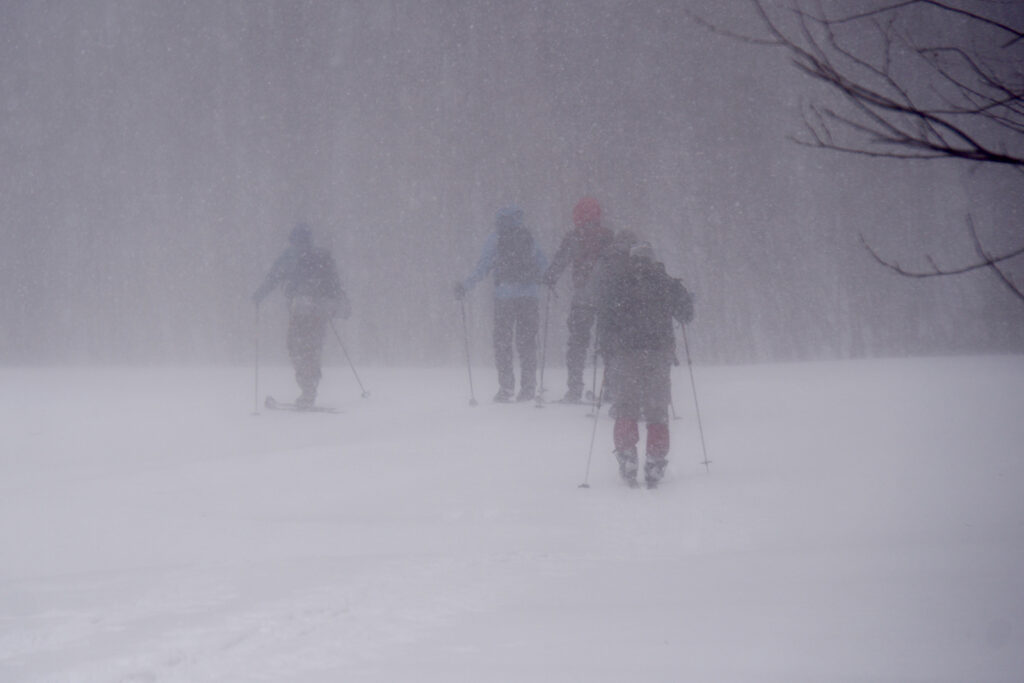 Whiteout conditions