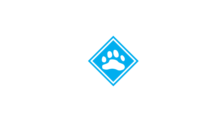 Catamount Train Catamount Trail Association – The length of Vermont on skis