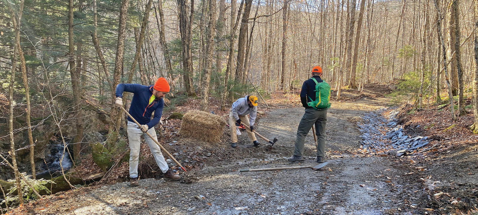 Giving to the Campaign